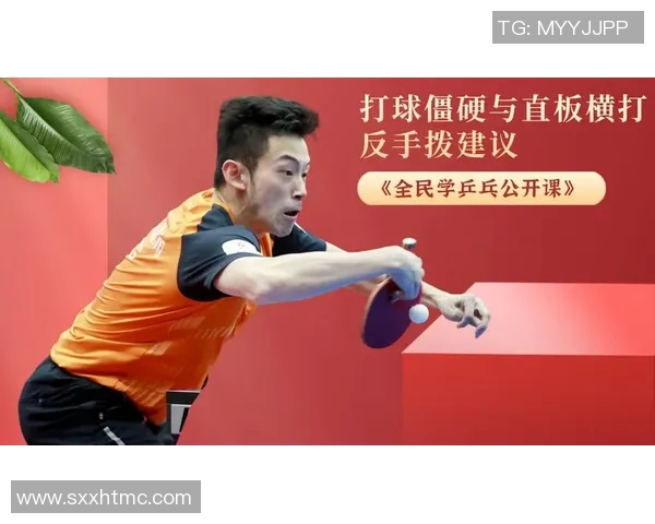 南京乒乓球队技术分析与发展探讨聚焦乒乓球运动的未来趋势与挑战