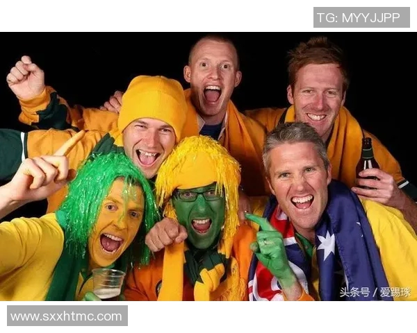 突尼斯与马里足球队球员身价对比分析及市场价值探讨