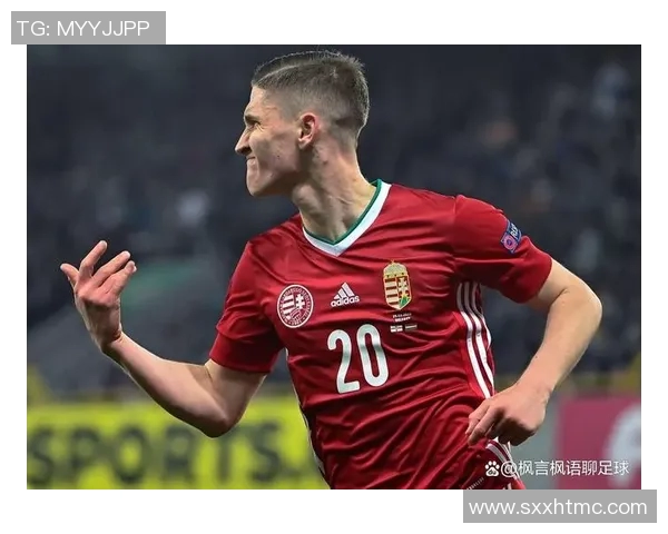 央视直播葡萄牙对阵匈牙利精彩赛事分析与赛后点评