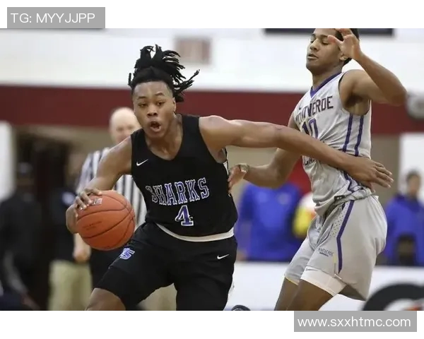 斯科蒂巴恩斯的崛起与未来展望:NBA新星的成长之路