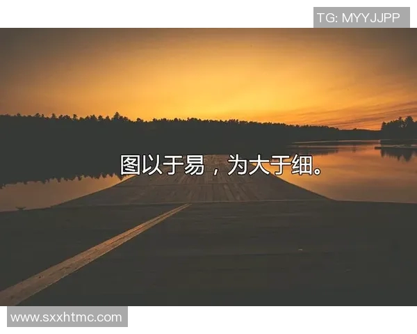 赖斯在国际事务中的新角色与影响力分析及其对全球政治的深远影响