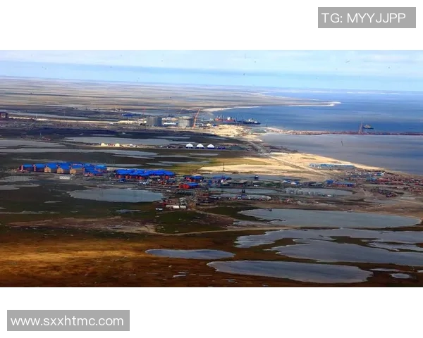 亚马尔地区的能源战略与全球气候变化的互动关系研究