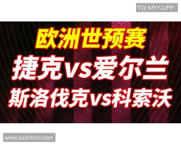 斯洛伐克与爱尔兰比赛数据分析及战术对比研究